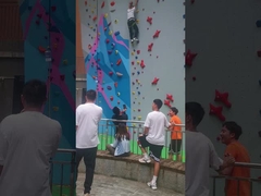 Fiberglass Bouldering Speed ​​Climbing Gelar Anti Korosi Profesional